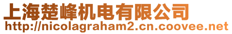 上海楚峰機電有限公司