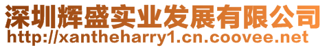 深圳輝盛實(shí)業(yè)發(fā)展有限公司