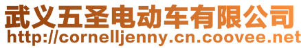 武義五圣電動(dòng)車(chē)有限公司