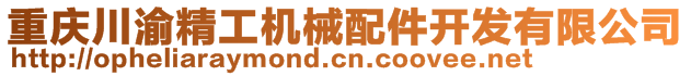 重慶川渝精工機械配件開發有限公司