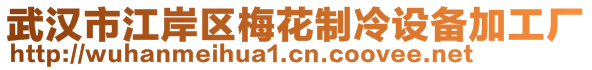 武漢市江岸區(qū)梅花制冷設備加工廠