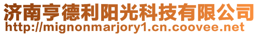 濟(jì)南亨德利陽(yáng)光科技有限公司