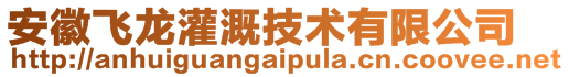 安徽飞龙灌溉技术有限公司