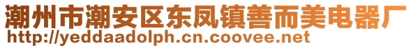 潮州市潮安區(qū)東鳳鎮(zhèn)善而美電器廠