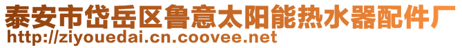 泰安市岱岳區(qū)魯意太陽能熱水器配件廠