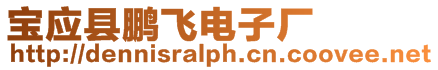 寶應(yīng)縣鵬飛電子廠