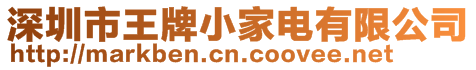 深圳市王牌小家電有限公司