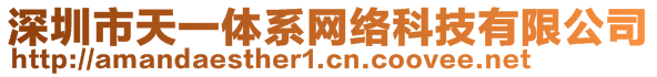 深圳市天一體系網絡科技有限公司