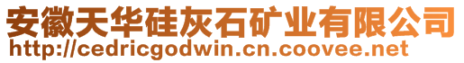 安徽天華硅灰石礦業(yè)有限公司