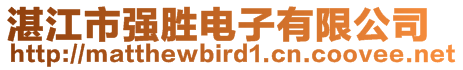 湛江市強(qiáng)勝電子有限公司