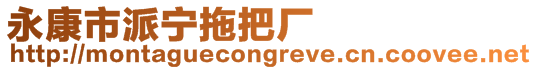 永康市派寧拖把廠