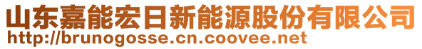 山東嘉能宏日新能源股份有限公司