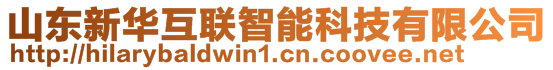 山東新華互聯(lián)智能科技有限公司