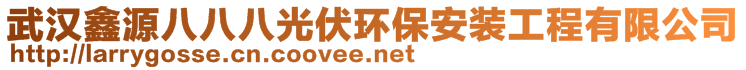 武漢鑫源八八八光伏環(huán)保安裝工程有限公司