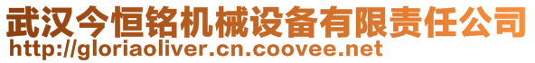 武漢今恒銘機(jī)械設(shè)備有限責(zé)任公司