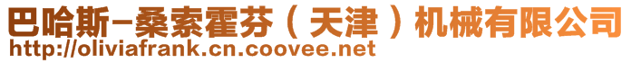 巴哈斯-桑索霍芬(天津)機械有限公司