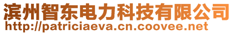 濱州智東電力科技有限公司