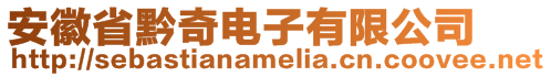 安徽省黔奇電子有限公司