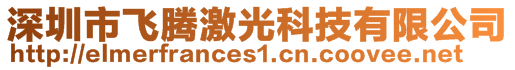 深圳市飛騰激光科技有限公司