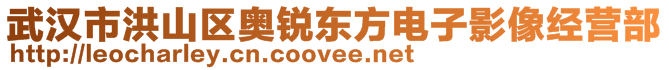 武漢市洪山區(qū)奧銳東方電子影像經(jīng)營部