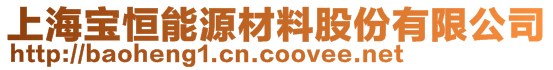 上海寶恒能源材料股份有限公司