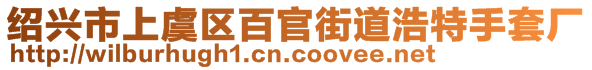 紹興市上虞區(qū)百官街道浩特手套廠