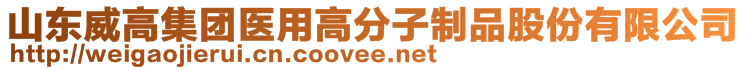 山東威高集團醫(yī)用高分子制品股份有限公司