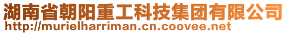 湖南省朝阳重工科技集团有限公司