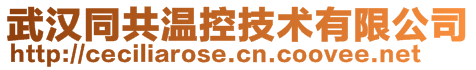 武汉同共温控技术有限公司