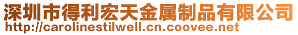 深圳市得利宏天金属制品有限公司