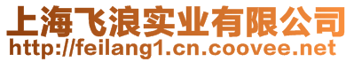 上海飛浪實業(yè)有限公司