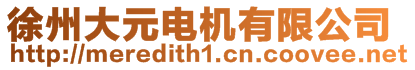 徐州大元電機(jī)有限公司