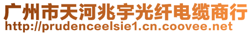 廣州市天河兆宇光纖電纜商行