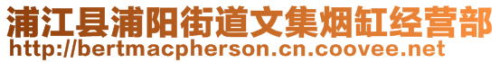 浦江縣浦陽街道文集煙缸經營部