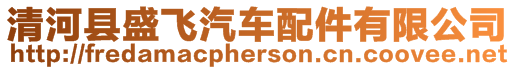 清河縣盛飛汽車配件有限公司