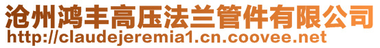 滄州鴻豐高壓法蘭管件有限公司