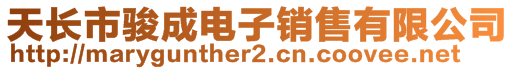 天長市駿成電子銷售有限公司