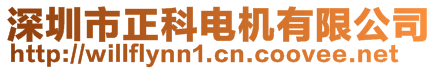 深圳市正科電機有限公司