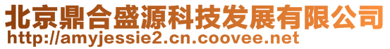 北京鼎合盛源科技發展有限公司