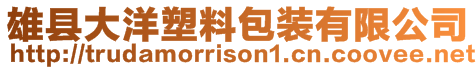 雄縣大洋塑料包裝有限公司