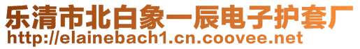 樂清市北白象一辰電子護套廠