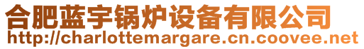 合肥藍(lán)宇鍋爐設(shè)備有限公司