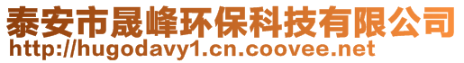 泰安市晟峰環(huán)?？萍加邢薰? style=