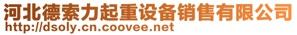 河北德索力起重設(shè)備銷售有限公司