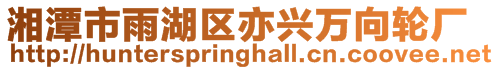 湘潭市雨湖區(qū)亦興萬向輪廠