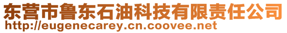 東營市魯東石油科技有限責任公司