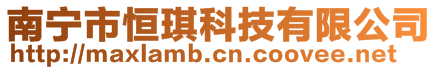 南寧市恒琪科技有限公司