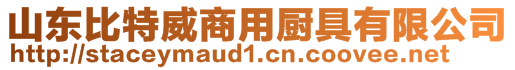 山東比特威商用廚具有限公司