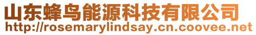 山東蜂鳥能源科技有限公司