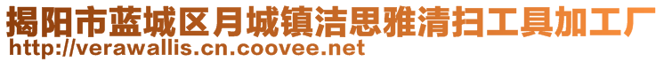 揭陽市藍城區(qū)月城鎮(zhèn)潔思雅清掃工具加工廠